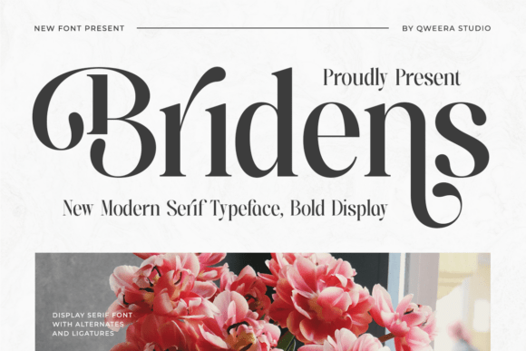 Bridens: A Modern Serif Font for Editorial Elegance