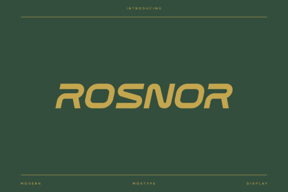 Enhance Your Campaigns with Rosnor, the Modern Display Font
