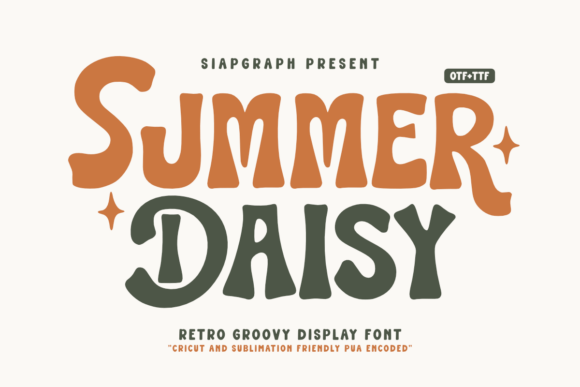 Summer Daisy: A Groovy Display Font for Your Brand